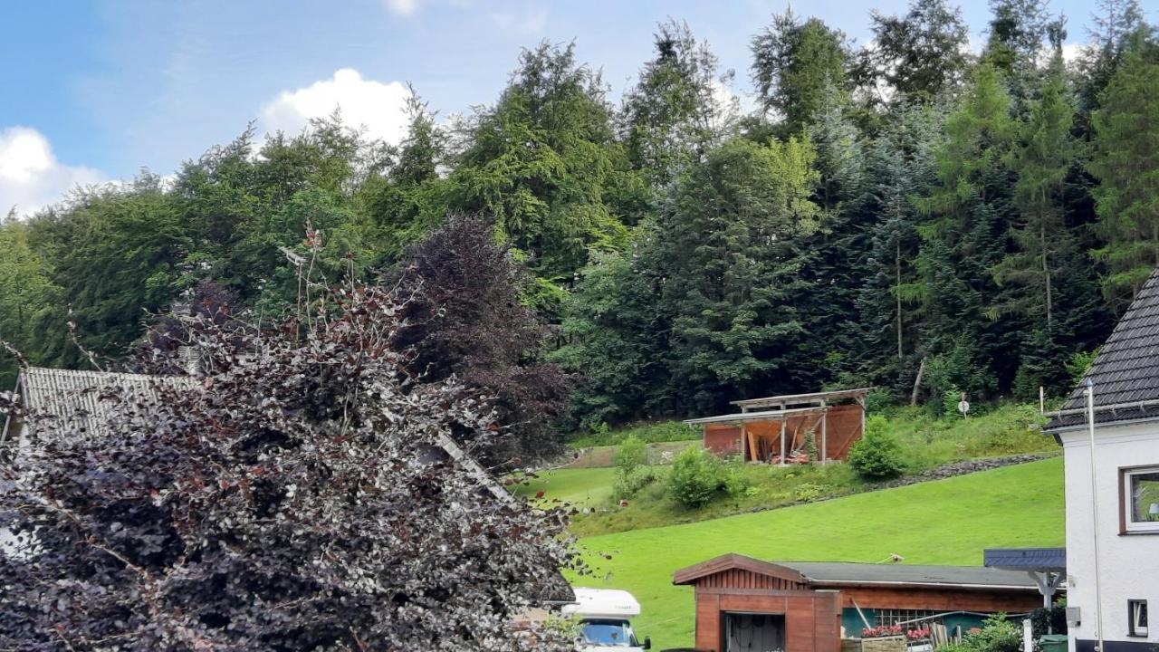 Yalet Ferienhaus 2 Appartementen Vlakbij Willingen Brilon-Wald Экстерьер фото